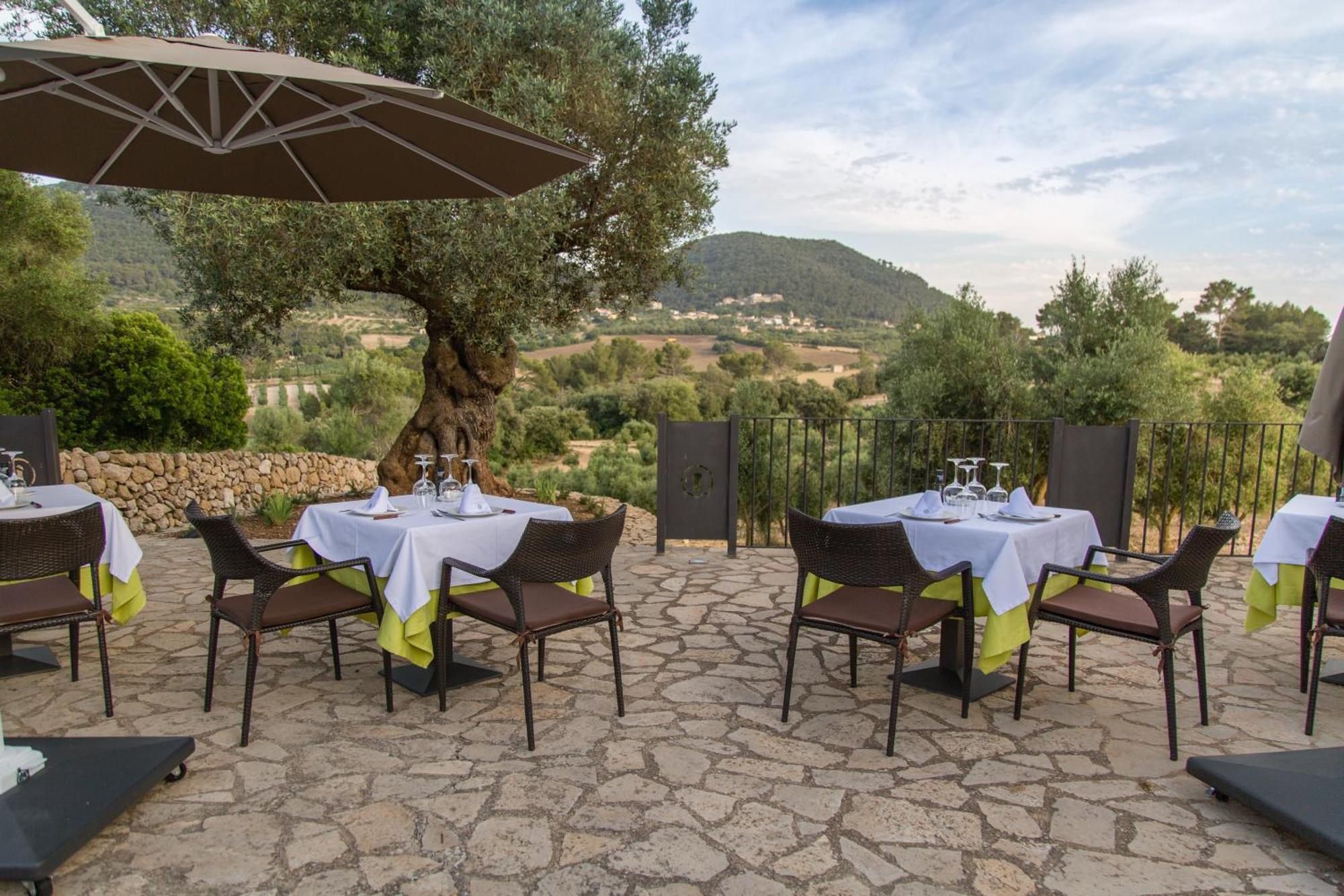 Fincahotel Treurer - Olive Grove & Grand House - Adults Only Algaida  Exterior photo